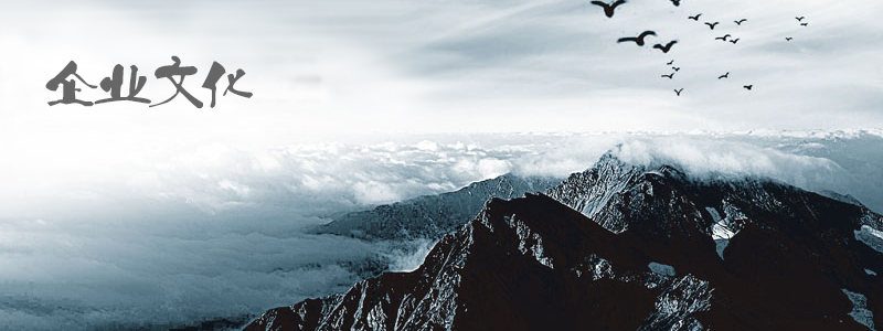 湖北漢業(yè)化工有限責任公司